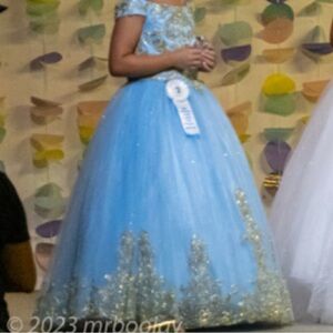 Elegant Blue and Gold Kids Formal Dress